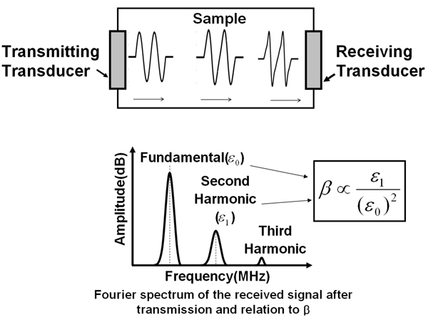 Distortion and harmonic generation occur by nonlinear elasticity.jpg